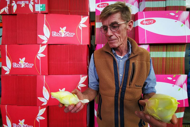 Farmer Emmanuel Lefebvre holds endives as he stands in front of empty boxes used in packaging in the De La Marliere production site in Bouvines, France. Reuters