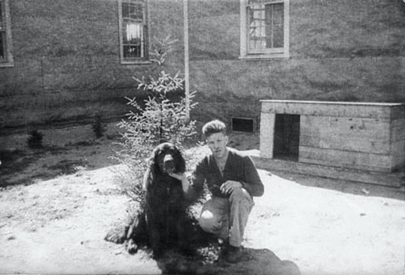 Undated collect picture of Gander the dog and unidentified male. The animal was awarded a Dickin Medal by the People's Dispensary for Sick Animals Tuesday August 16 2000 for its gallant exploits at the battle of Lye Mun, Hong Kong in 1941. The brave Newfoundland was killed by a grenade which it had chased, picked up and carried back towards the Japanese, saving the lives of dozens of Canadian soldiers. See PA story SOCIAL Japan Dog. PA Picture:   (Photo by PA Images via Getty Images)