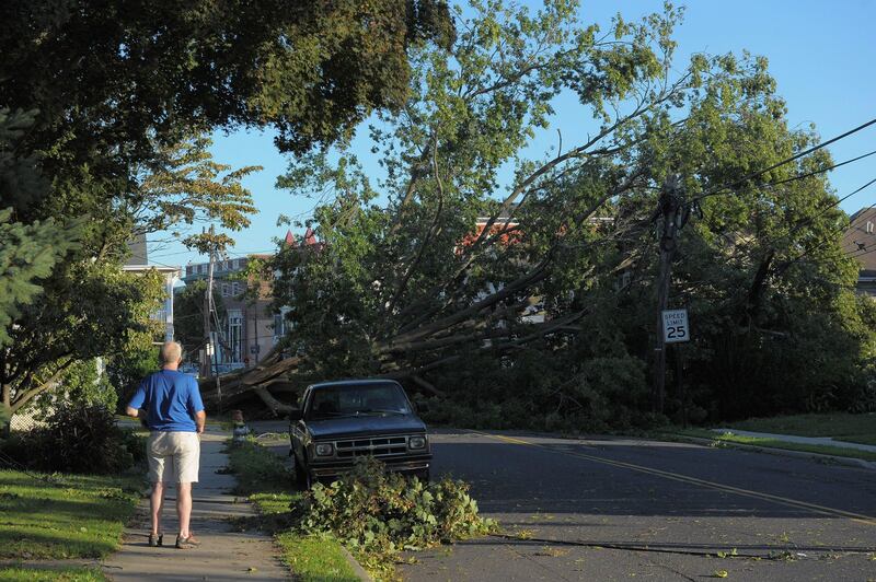 MANASQUAN, NJ - AUGUST 28: A passerby observes a tree brought down by winds caused by Hurricane Irene on August 28, 2011 in Manasquan, New Jersey. While Hurricane Irene has now been downgraded to a tropical storm, it has knocked out power to more than 4.5 million people and is attributed to 19 deaths as it travels up the Eastern seaboard.   Michael Loccisano/Getty Images/AFP== FOR NEWSPAPERS, INTERNET, TELCOS & TELEVISION USE ONLY ==
 *** Local Caption ***  703756-01-09.jpg