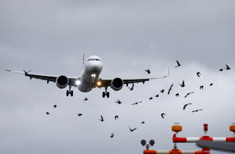 A flock of birds flies with a Turkish Airlines Airbus A321 aircraft as it approaches Zurich Airport. Reuters