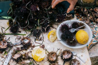 Fresh sea urchins with a splash of lemon on offer at the spring. Erin Clare Brown / The National