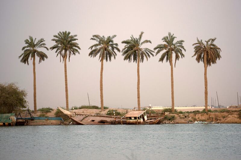 Iraq's Ministry of Agriculture says progress has been made in increasing date palm production, with numbers increasing from 11 million to 17 million in 10 years.