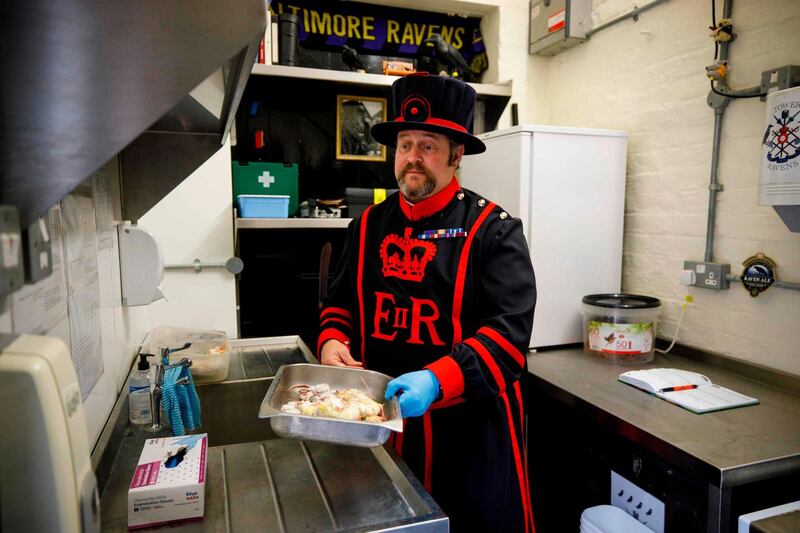 Breakfast time involves Skaife, in the distinctive black and red uniform of the "Beefeaters", distributing a meal of chicks and mice, which the ravens cheerfully devour. AFP