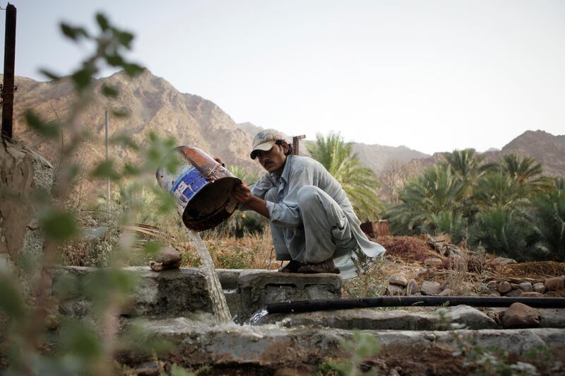 United Arab Emirates - Sharjah - June 10th, 2010:  A farm hand pours water into a falaj in the town of Nahwa.  (Galen Clarke/The National) For Istabsir