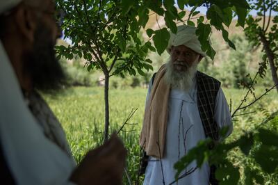 Abdul Rahim, 67, is a farmer who divides his farming land between government and Taliban-held land in rural Badghis province. Stefanie Glinski for The National