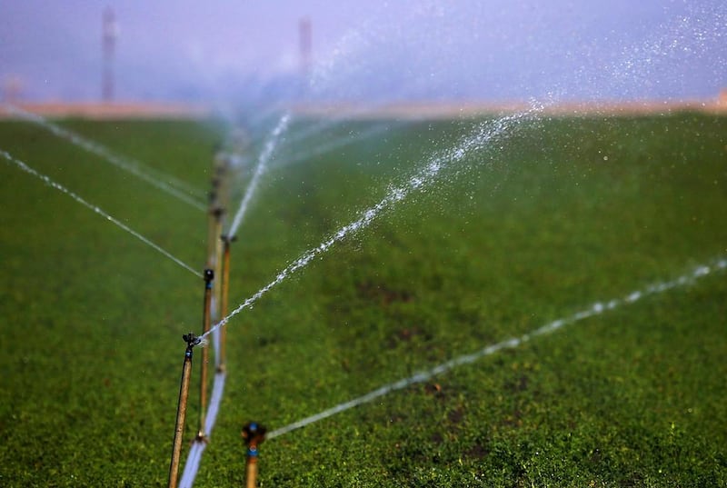 Sprinklers water a field in Firebaugh, California. After three years of drought in California, farmers may face $5 billion on lost revenue as they struggle to secure water for everything. Justin Sullivan / Getty Images / AFP