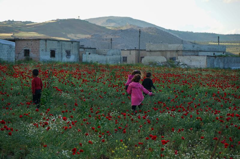 The flower fields are an area for children to play in
