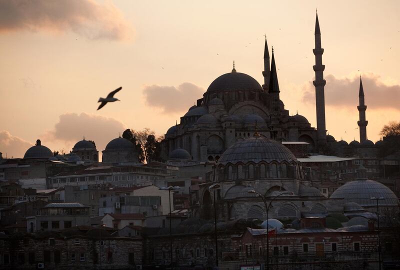 Sulamaniye Mosque dominates the Fatih skyline in Istanbul, Turkey, March 13, 2014. Azat Yalcin was fired from his job in the urban planning department of Fatih municipality, after exposing corruption between officials and businesses in Istanbul's most famous and visited district. He took his employer to court and got his job back. When he was rehired, he was tasked with the ridiculous job of counting feral cats in Fatih, which he did for one week. When he submitted his report on the number of cats, his boss found it insufficient and fired him again. 