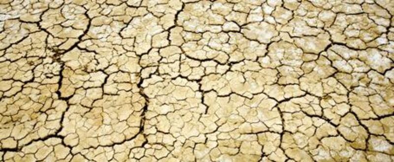 Experts attribute Syria's drought to a combination of climate change, man-made desertification and a lack of irrigation - some of which is blamed on official mismanagement.