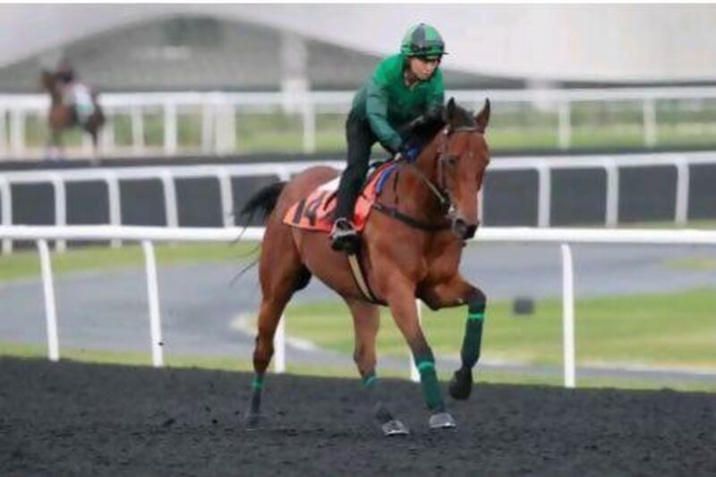 Joy And Fun is one of the Al Quoz Sprint runners who will be competing in the King's Stand Stakes on Tuesday.