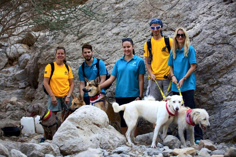 The seventh Human and K9 Ultimate Challenge is taking place on Friday, January 31 at Jebel Jais, Ras Al Khaimah. Courtesy HK9