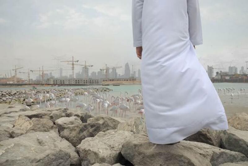 Observers of Change I, 2011 by Lateefa Bint Maktoum. Image courtesy of H.H. Sheikh Zayed bin Sultan bin Khalifa Al Nahyan
