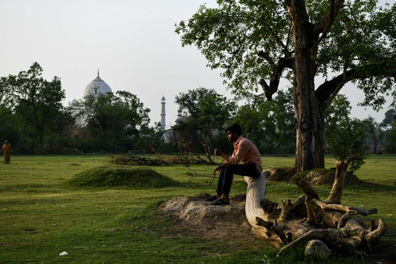 An Indian man sits on a tree stump in a garden opposite the Taj Mahal on the banks of the Yamuna river in Agra. Chandan Khanna / AFP