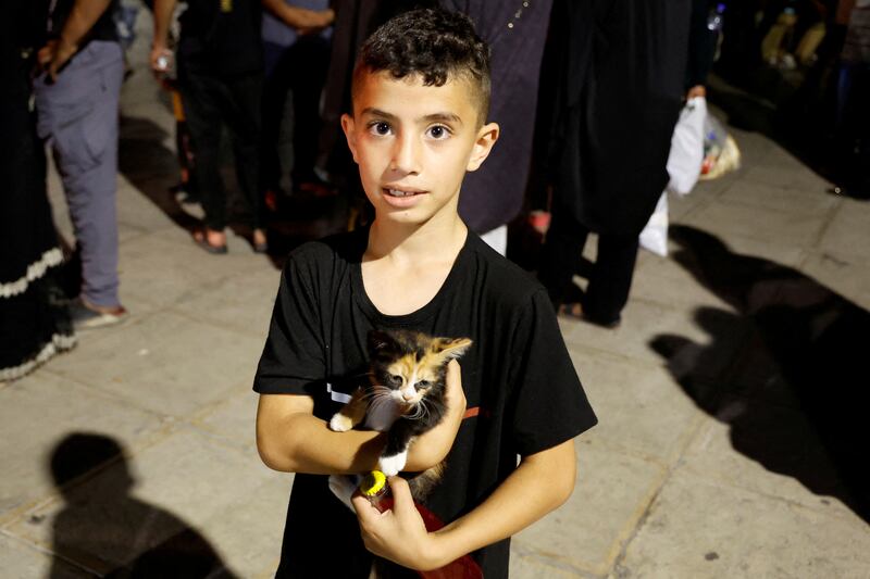 A child carrying a cat during the evacuation. Reuters