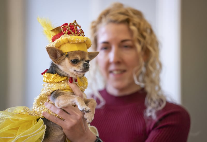 Mandy Corbett holds her Chihuahua, Lindy Lou, who is modelling a design inspired by Belle's gown from 'Beauty and the Beast'.