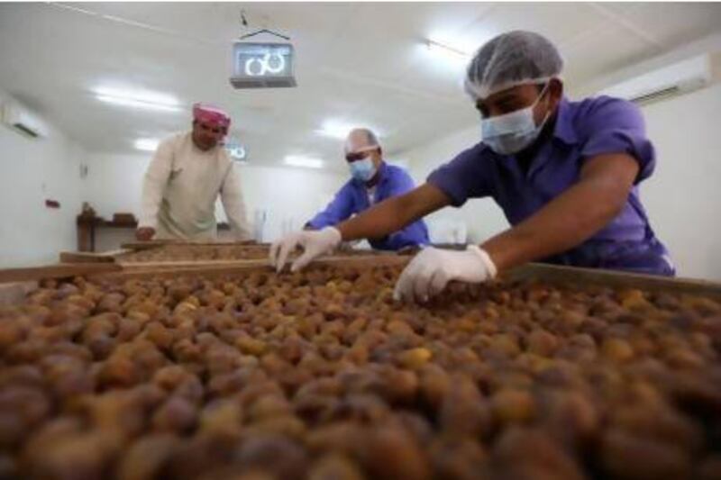 Workers sort dates at the Al Dahra Agriculture farm in Al Ain. It has been buying stakes in food companies in recent times. Pawan Singh / The National