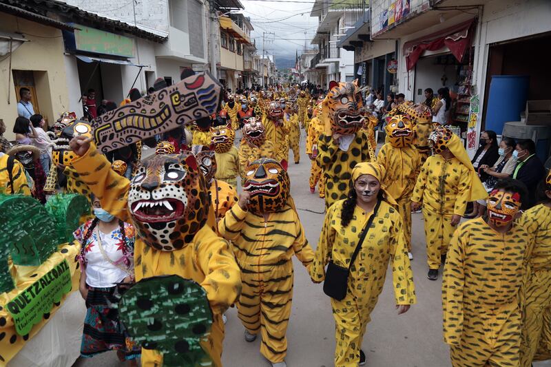 The traditional 'Tigrada' in Chilapa, Mexico, when thousands of people dressed as tigers flood the streets. EPA 