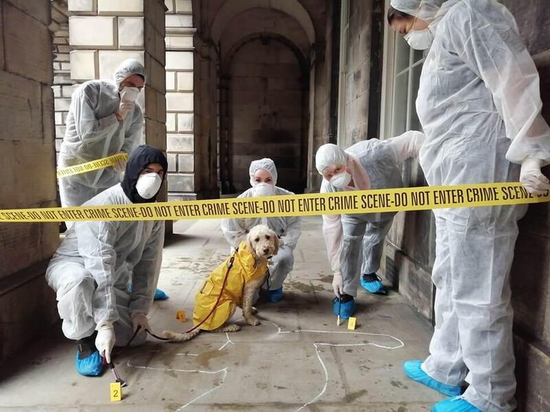 Teams of up to six people (dogs included) will need to solve the mystery during a giant live 'Cluedo' game in Dubai and Abu Dhabi. Courtesy Cluedo