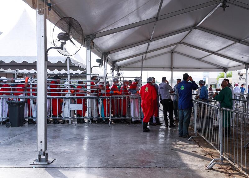 Abu Dhabi, U.A.E., August 22 , 2018.  Livestock shoppers for the second day of Eid Al Adha at the Abu Dhabi Livestock Market and the Abu Dhabi Public Slaughter House (Abu Dhabi Municipality) at the  Mina area. --Livestock professional butchers line up to wait for livestock to be processed inside the slaughter house for a minimal fee.
Victor Besa/The National
Section:  NA
For:  stand alone and stock images