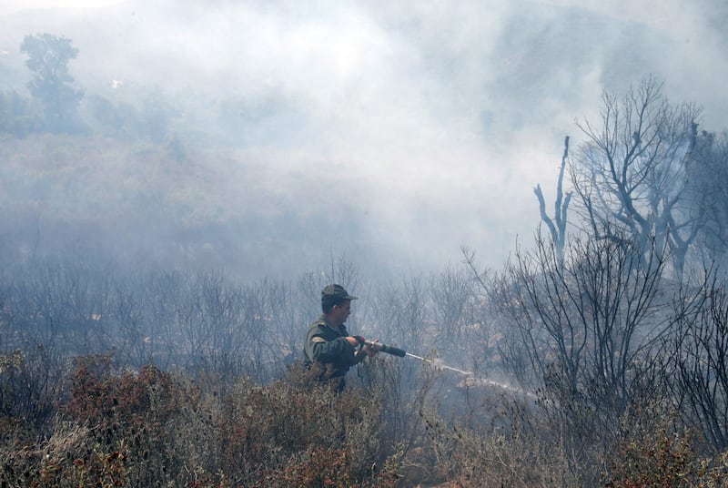 A forest ranger works to douse hotspots in an area hit by a wildfire in Algeria's Bejaia province. Reuters