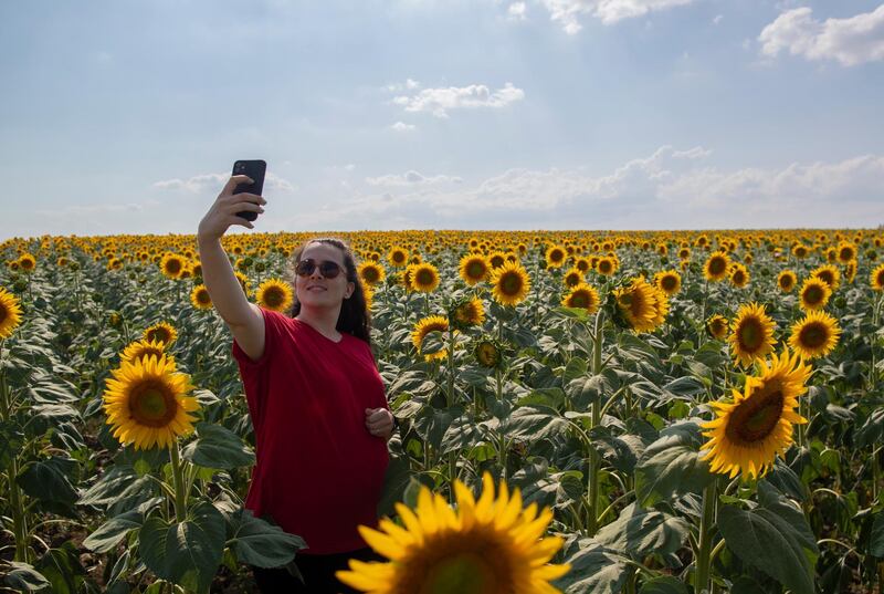 A woman poses for a selfie in a sunflower field in Edirne, Turkey. EPA