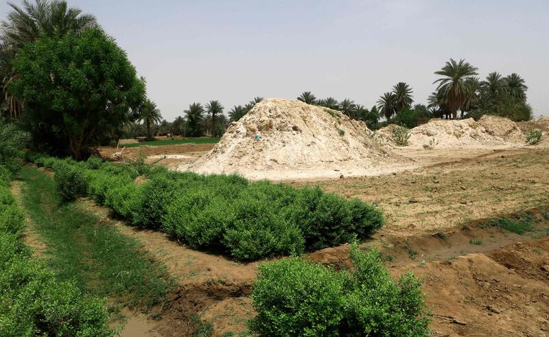 Gold mining residues near an agricultural field in Banat. AFP