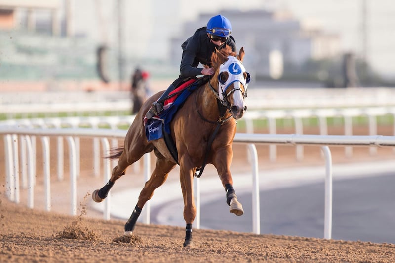 Mystic Guide (USA) (Michael Stidham) DUBAI WORLD CUP. Erika Rasmussen/DRC