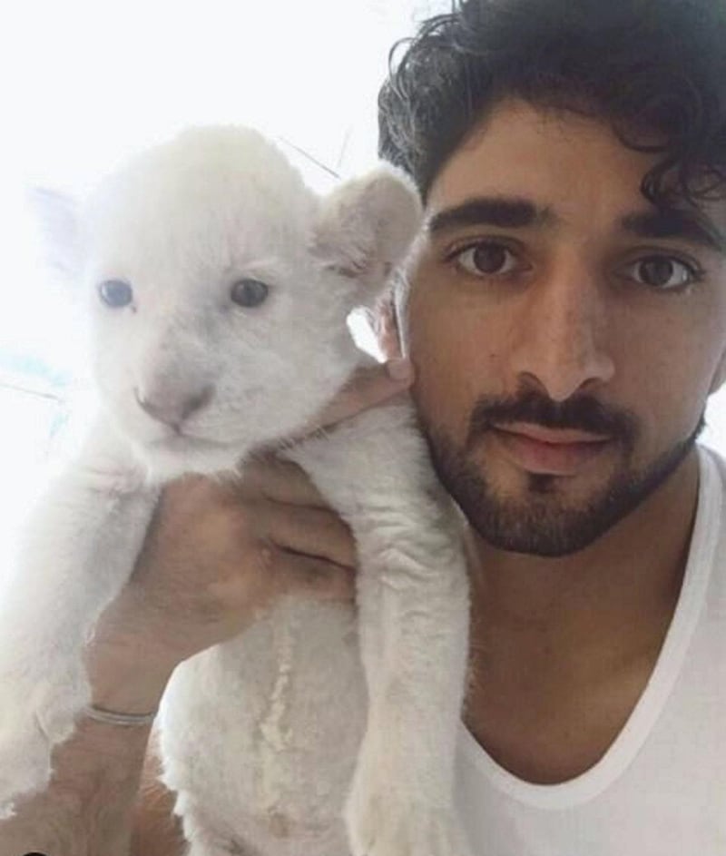 Posing with a young white lion. Instagram / Faz3