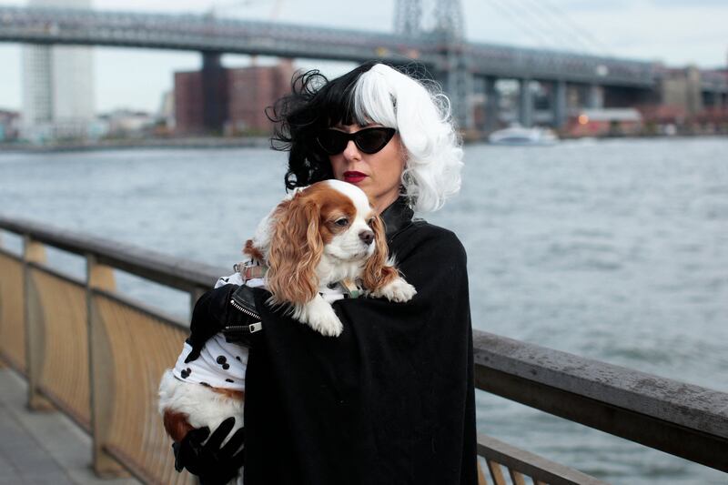 An owner dressed up as Cruella De Vil holds her dog Ruby, a Cavalier King Charles spaniel
in a Dalmatian coat. AFP