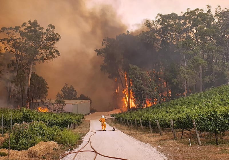 The author says that this picture from Cudlee Creek, a small town in South Australia, has convinced her that the current bushfire crisis has now gone beyond anyone’s wildest nightmare. Facebook / Eden Hills Country Fire Service