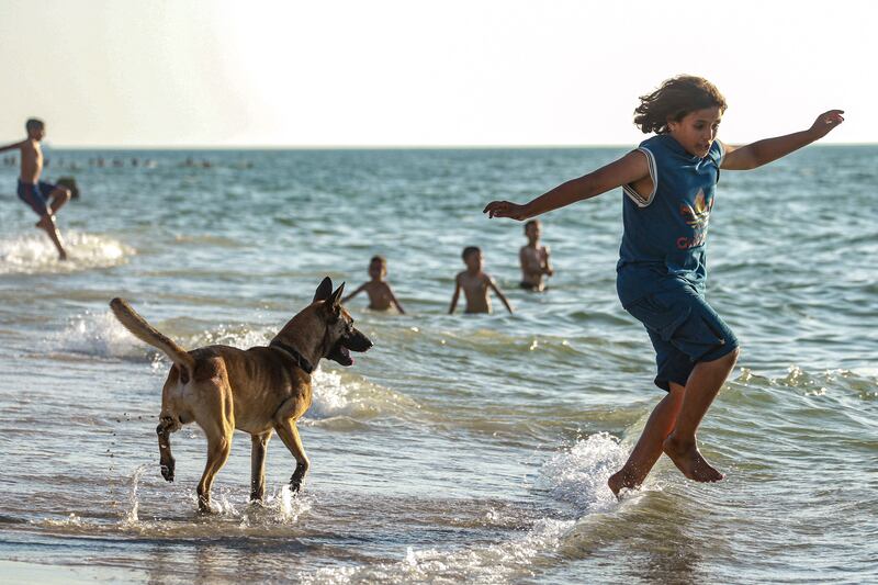 A young Palestinian plays with a dog on the beach in Deir Al Balah in central Gaza. AFP