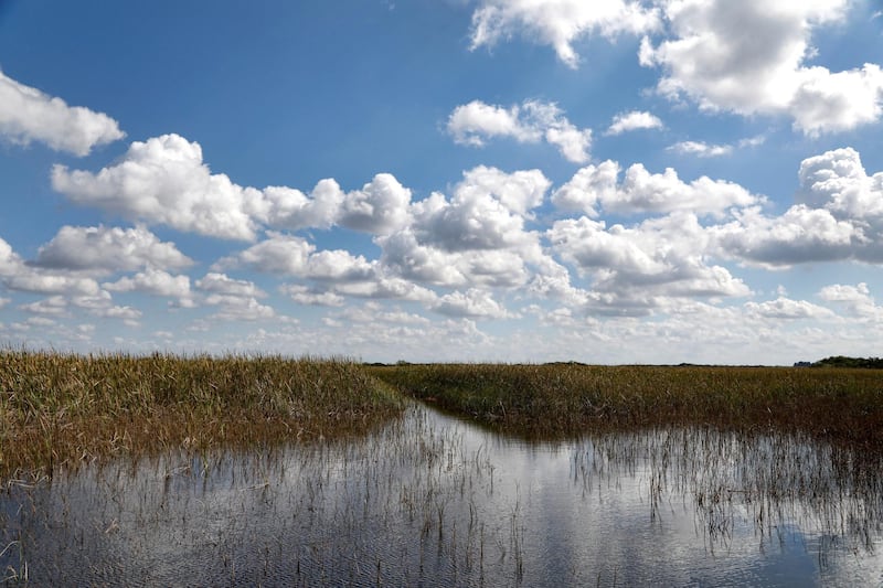 (FILES) In this file photo taken on February 7, 2017, clouds are reflected in the Florida Everglades, otherwise known as the river of grass, on Miccosukee Tribal land adjacent to Florida Everglades National Park, Florida. - Climate change has become the biggest threat to UN-listed natural world heritage sites like glaciers and wetlands, and has pushed Australia's Great Barrier Reef into "critical" condition, conservationists said December 2, 2020. Protected areas in the Everglades National Park in the United States are also among the sites now deemed in critical condition. (Photo by RHONA WISE / AFP)