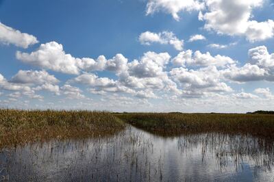 (FILES) In this file photo taken on February 7, 2017, clouds are reflected in the Florida Everglades, otherwise known as the river of grass, on Miccosukee Tribal land adjacent to Florida Everglades National Park, Florida. - Climate change has become the biggest threat to UN-listed natural world heritage sites like glaciers and wetlands, and has pushed Australia's Great Barrier Reef into "critical" condition, conservationists said December 2, 2020. Protected areas in the Everglades National Park in the United States are also among the sites now deemed in critical condition. (Photo by RHONA WISE / AFP)