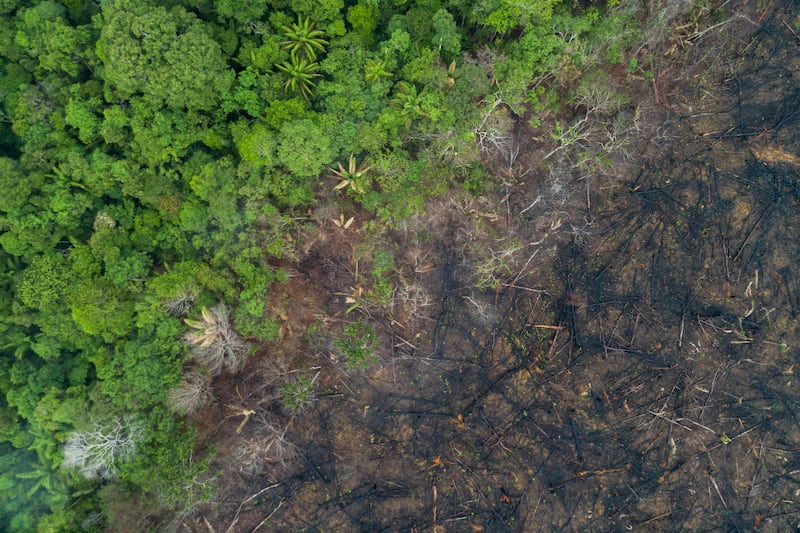 An aerial view of deforestation in Maues, Amazon Rainforest. WWF/PA Wire 


Assunto: Vista de drone de Incêndio Florestal provocado 
Local: Vilhena-RO 
Data: 09/2020
Autor: Andre Dib