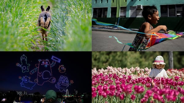 This week's selection includes blooming tulips, drone light show and boy with a kite