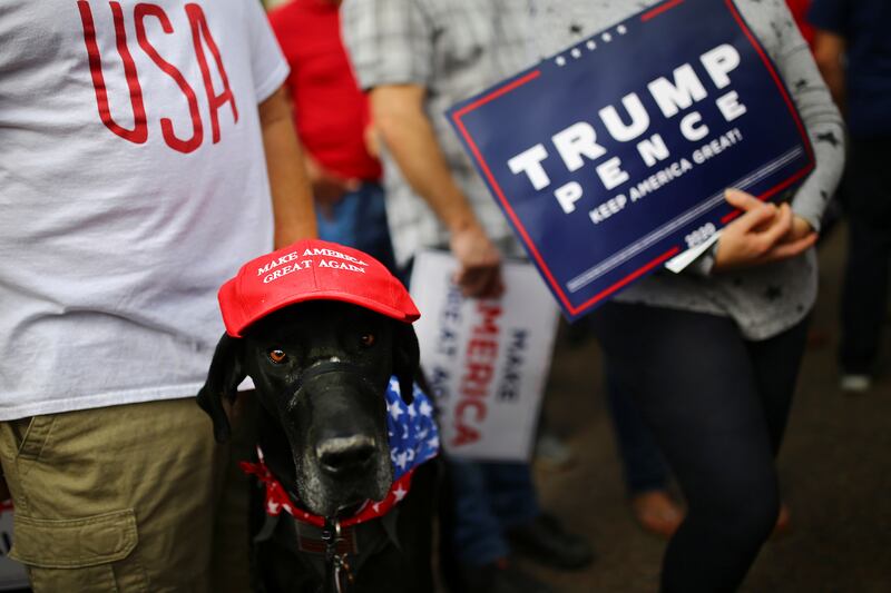 A dog wearing a Make America Great Again (MAGA) hat is pictured during a campaign rally from Donald Trump Jr for U.S. President Donald Trump ahead of Election Day in Scottsdale, Arizona, U.S., November 2, 2020. REUTERS/Edgard Garrido