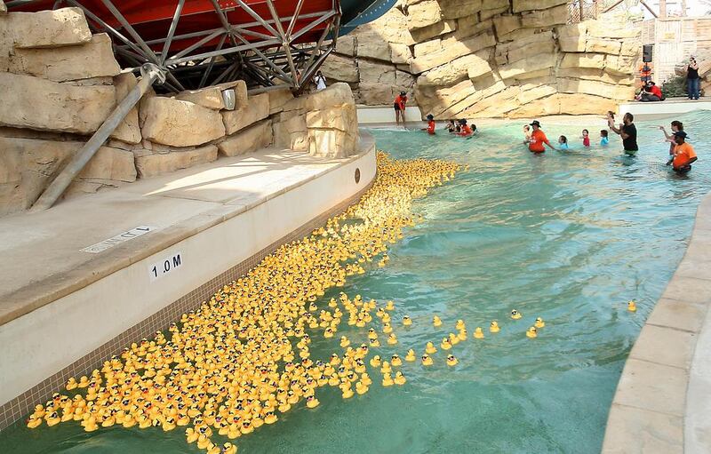 More than 2,000 thousand rubber ducks race for charity raising over Dh60,000 for the Make-A-Wish UAE Foundation at Yas Waterworld in Abu Dhabi. Ravindranath K / The National