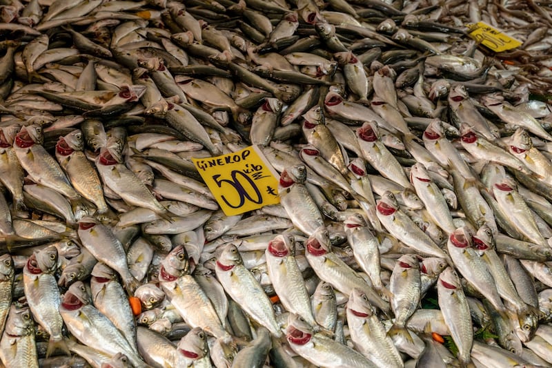 Fresh fish for sale in Istanbul. Food prices have risen by 99 per cent in a year