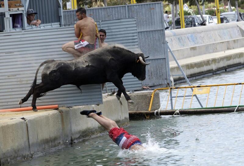 A bull which is chasing a reveller jumps into the sea during the “Bous a la Mar” festival in the eastern Spanish coastal town of Denia July 7, 2014. During this festival, revellers emerging from protective barriers provoke bulls to chase them until they both fall into sea. The bulls are then rescued by small boats which will tow them to safety. Reuters