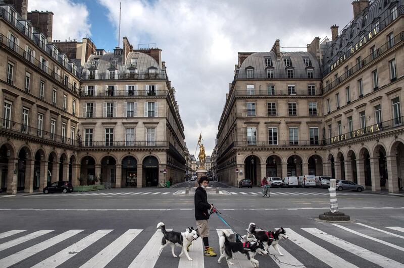 A pet sitter walks dogs in the French capital of Paris. The new Covid-19 restrictions allow people to be within a radius of 10 kilometres from their homes.  EPA