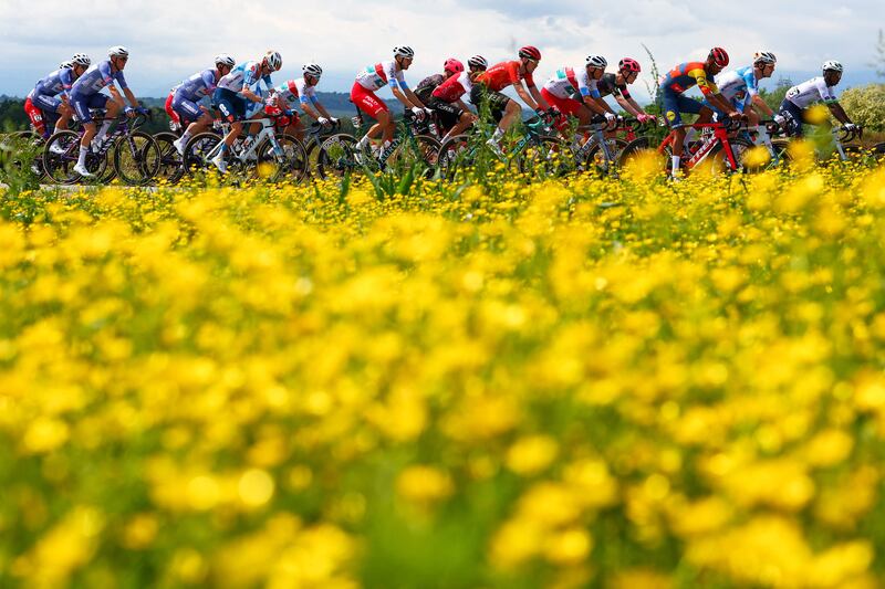 The peloton rides during Stage 2 of the 107th Giro d'Italia. AFP