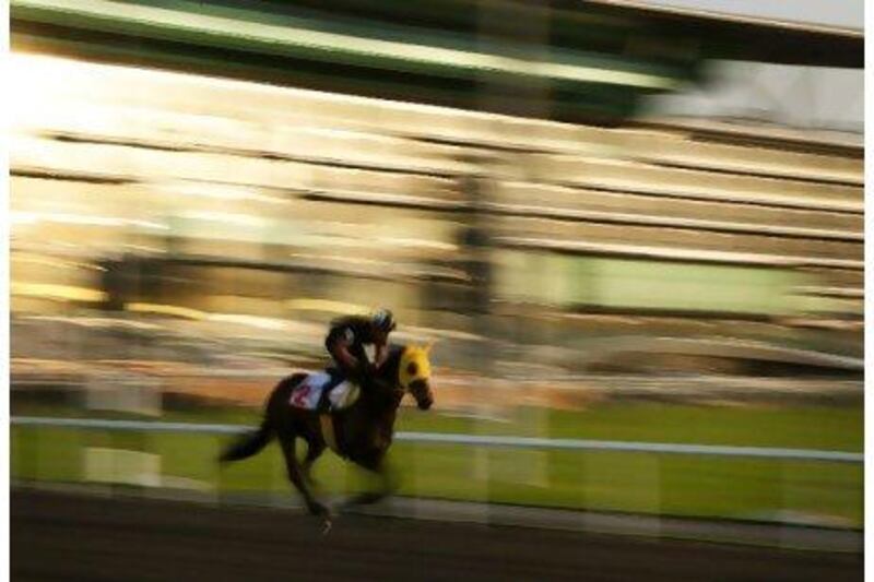 Buena Vista has looked in good shape at Meydan this week in the build up to tomorrow's big race.