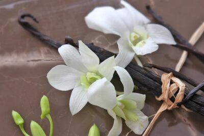 Vanilla orchids with a bunch of vanilla beans wrapped in raffia.  Shot on a marble background. Getty Images