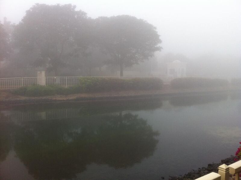 It was a misty morning in The Springs in Dubai. Steven McCombe