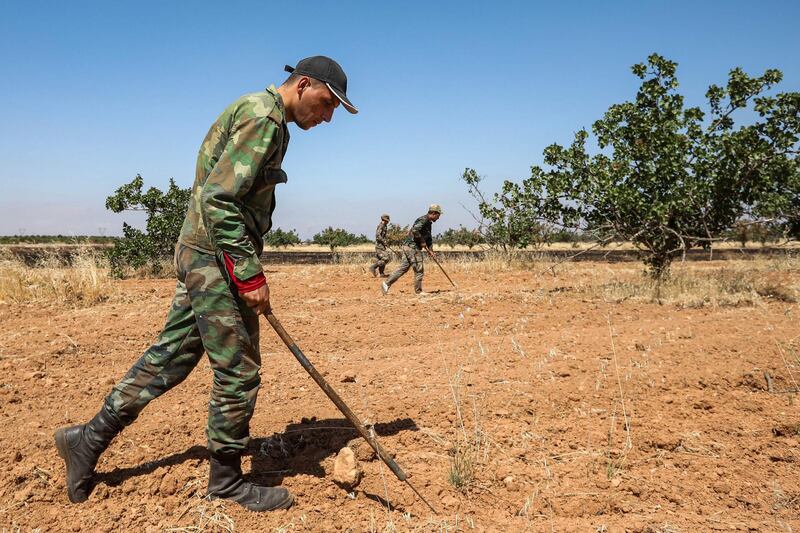 A Syrian army soldier uses a detector to find and clear landmines in a field at a pistachio orchard in the village of Maan, north of Hama in west-central Syria. AFP
