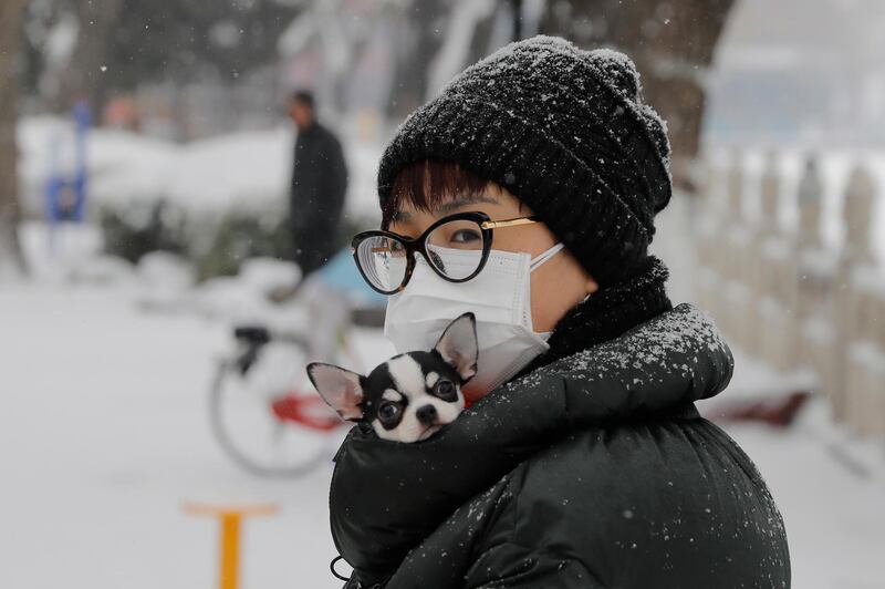 A woman carries her pet dog in her clothes to keep warm in Beijing, China.  EPA
