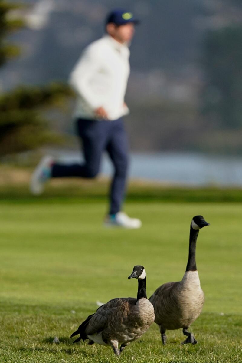 Paul Casey runs down the 17th fairway past a pair of Canada geese during the first round of the PGA Championship on Thursday. AP