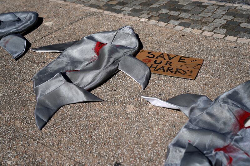 Shark costumes with their fins cut off lie on the ground during a protest against the shark fin trade at the UN Ocean Conference in Lisbon. AP