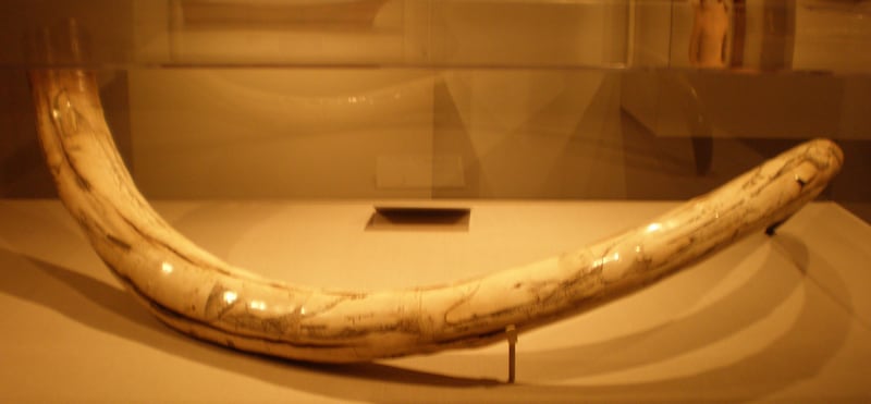 A mammoth tusk with carvings made in the 19th century in Yukon, Alaska, on display at the De Young Museum in San Francisco, California. Photo: BrokenSphere 