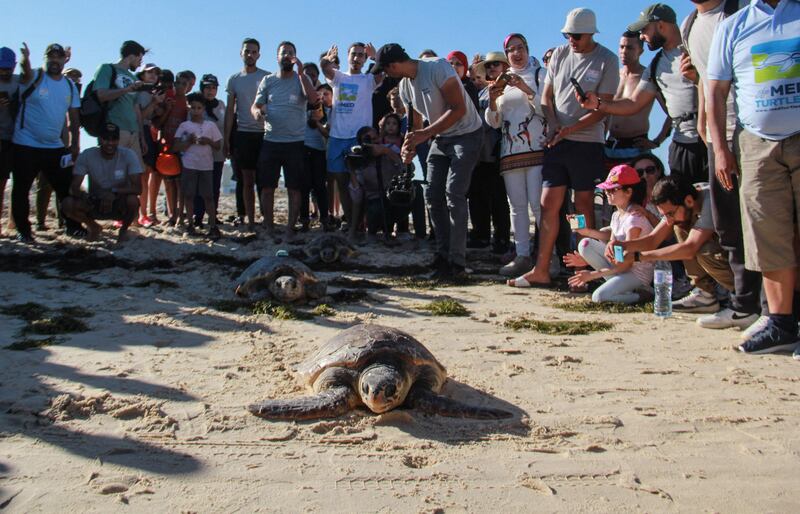 The turtles' release was watched by a crowd of about 50 people, many of them children. It was carried out by a specialised care centre in Tunisia's eastern port of Sfax.